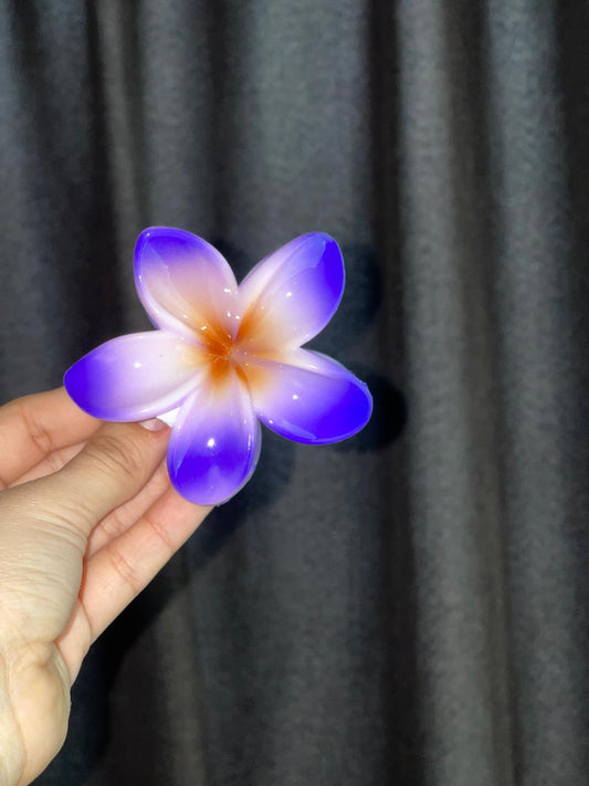 Clips Hawaianos Flor de Mayo