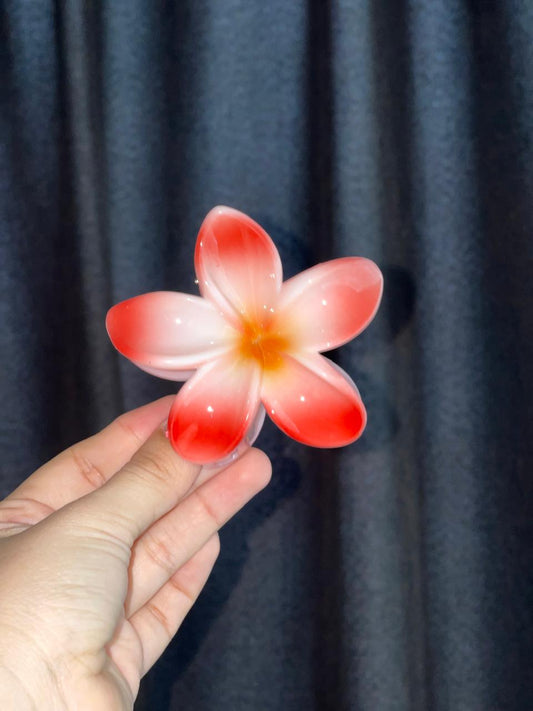 Clips Hawaianos Flor de Mayo